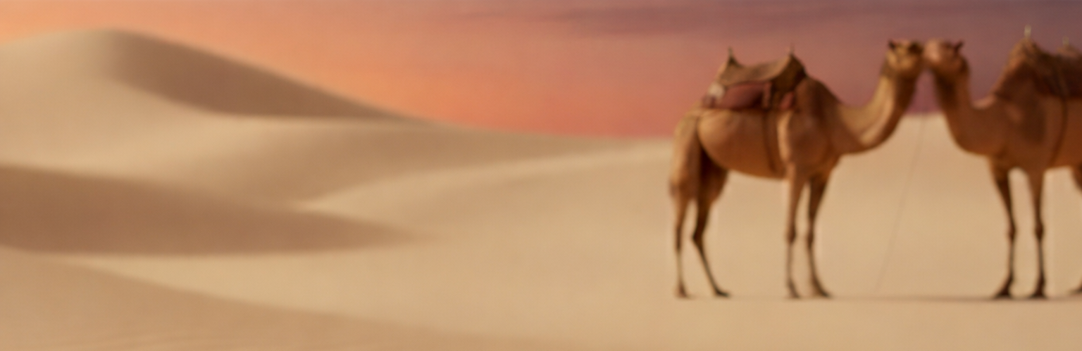 Two camels standing close together in a desert landscape with sand dunes and a sunset sky.